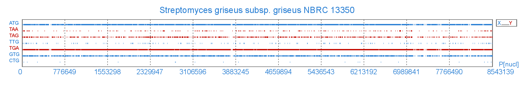 Розподіл старт і стоп  кодонів у геномі Streptomyces griseus subsp. griseus NBRC 13350