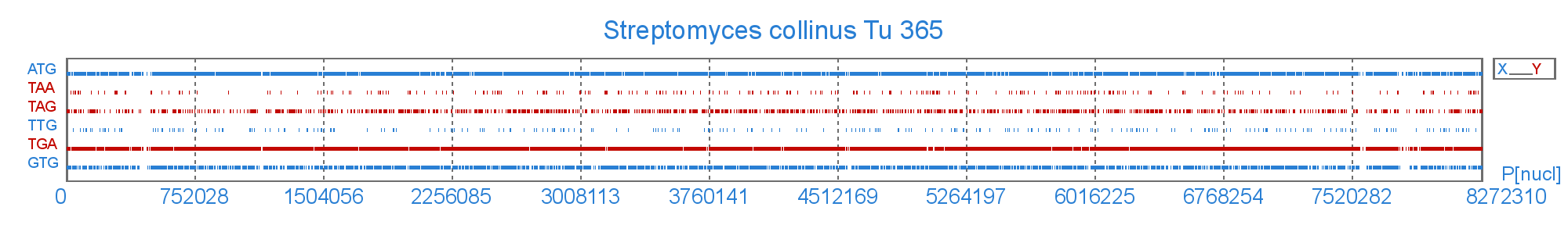 Розподіл старт і стоп  кодонів у геномі Streptomyces collinus Tu 365