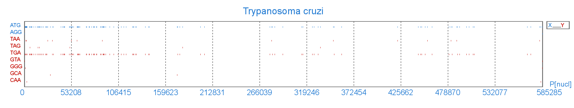 Розподіл старт і стоп  кодонів у геномі Trypanosoma cruzi