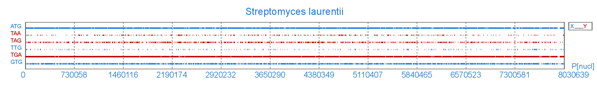 Розподіл старт і стоп  кодонів у геномі Streptomyces laurentii